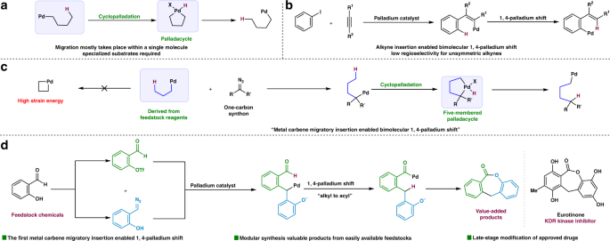 Easy access to medium-sized lactones through metal carbene migratory  insertion enabled 1,4-palladium shift | Nature Communications