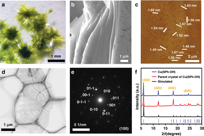 Plastic bending in a semiconducting coordination polymer crystal enabled by  delamination