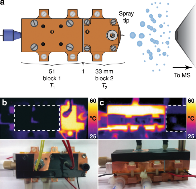 Studying Biomolecular Folding And Binding Using Temperature Jump Mass Spectrometry Nature Communications