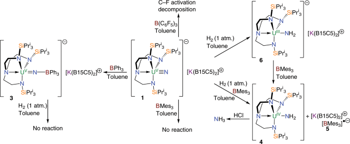 Terminal Uranium V Nitride Hydrogenations Involving Direct Addition Or Frustrated Lewis Pair Mechanisms Nature Communications