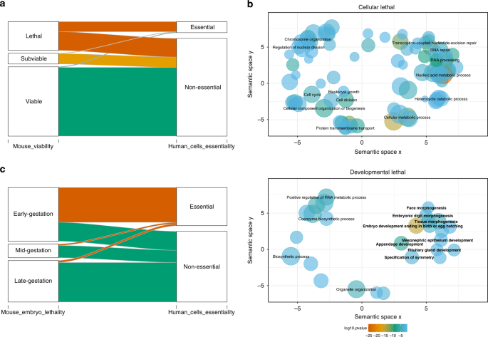 Human And Mouse Essentiality Screens As A Resource For Disease Gene Discovery Nature Communications