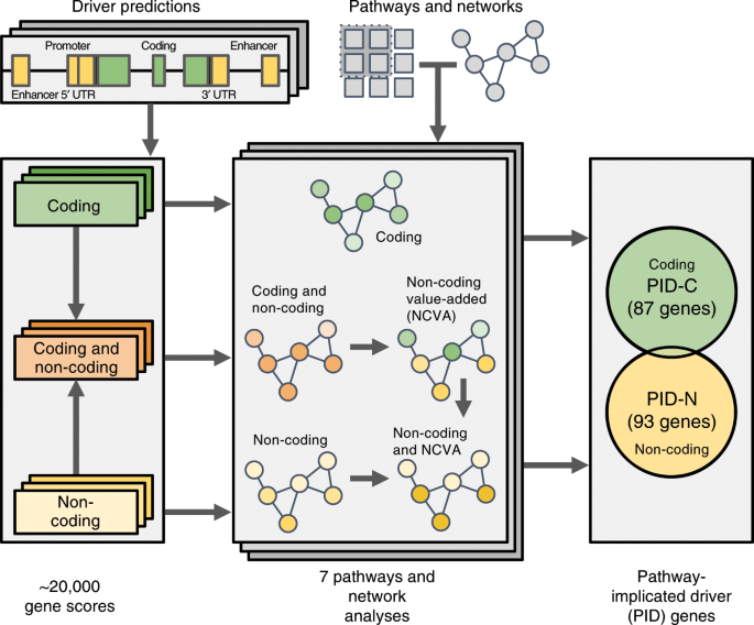 Pathway and network analysis of more than 2500 whole cancer genomes |  Nature Communications