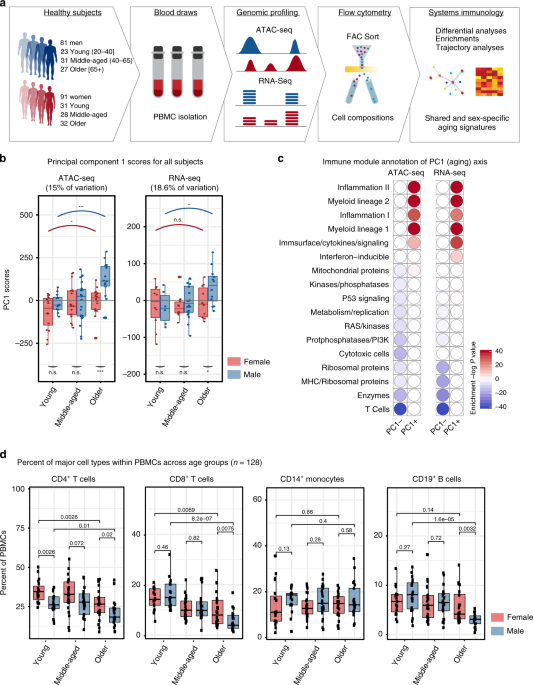 Age- and Sex-Based Reference Limits and Clinical Correlates of