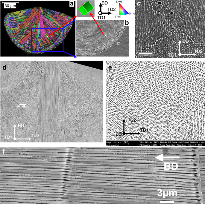 The role of side-branching in microstructure development in laser powder-bed  fusion | Nature Communications