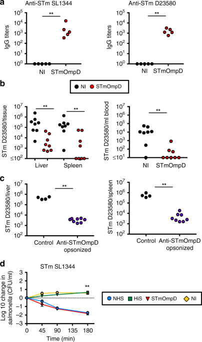 Outer Membrane Protein Size And Lps O Antigen Define Protective Antibody Targeting To The Salmonella Surface Nature Communications