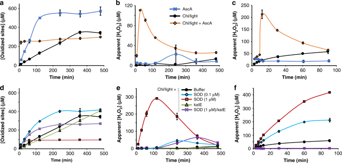 Engineered LPMO Significantly Boosting Cellulase-Catalyzed Depolymerization  of Cellulose