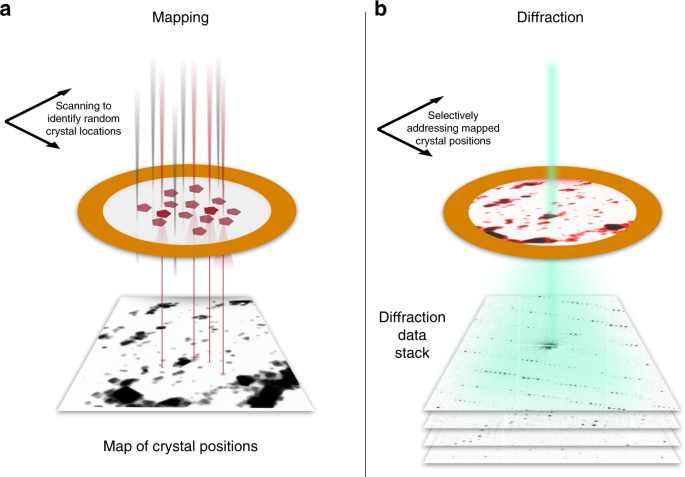 Analysis and Control of Protein Crystallization Using Short