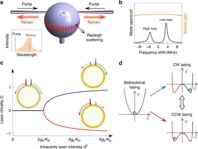 Reconfigurable symmetry broken laser in a symmetric microcavity