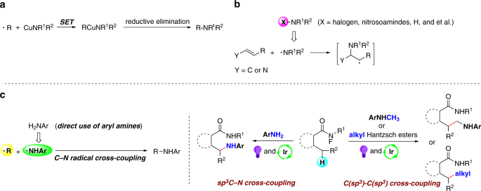 Visible Light Promoted Regioselective Amination And Alkylation Of Remote C Sp 3 H Bonds Nature Communications