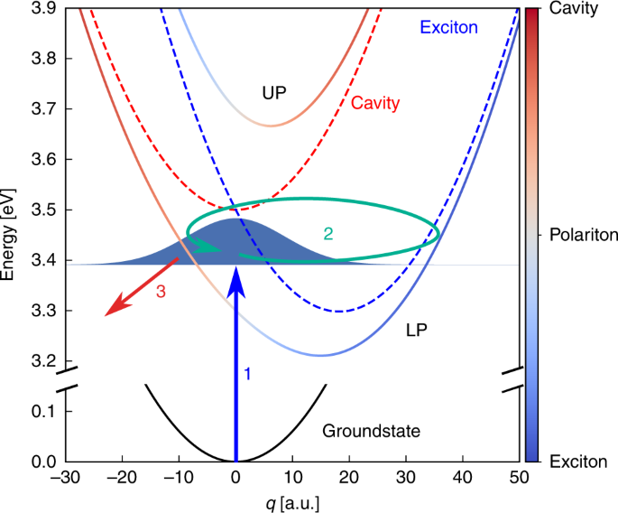 Polaritonic Molecular Clock For All Optical Ultrafast Imaging Of Wavepacket Dynamics Without Probe Pulses Nature Communications