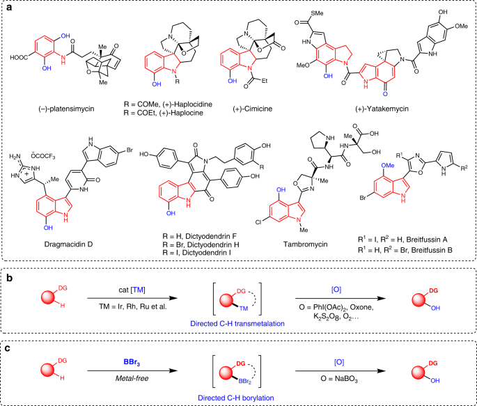 Hydroxylation of Aryl Bromides with N2O - ChemistryViews