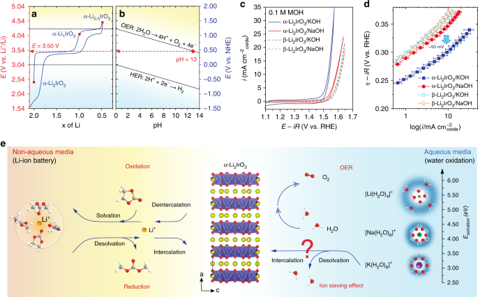 Constant Change: Exploring Dynamic Oxygen Evolution Reaction Catalysis and  Material Transformations in Strontium Zinc Iridate Perovskite in Acid