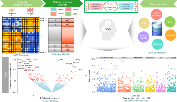 Integrative differential expression and gene set enrichment analysis using  summary statistics for scRNA-seq studies | Nature Communications