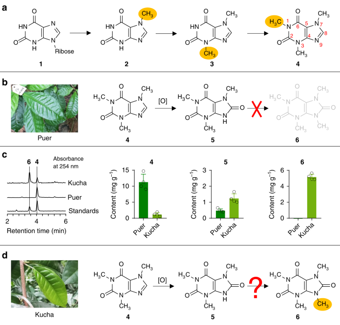 https://media.springernature.com/m685/springer-static/image/art%3A10.1038%2Fs41467-020-15324-7/MediaObjects/41467_2020_15324_Fig1_HTML.png