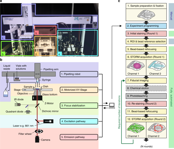 Automated Highly Multiplexed Super Resolution Imaging Of Protein Nano Architecture In Cells And Tissues Nature Communications