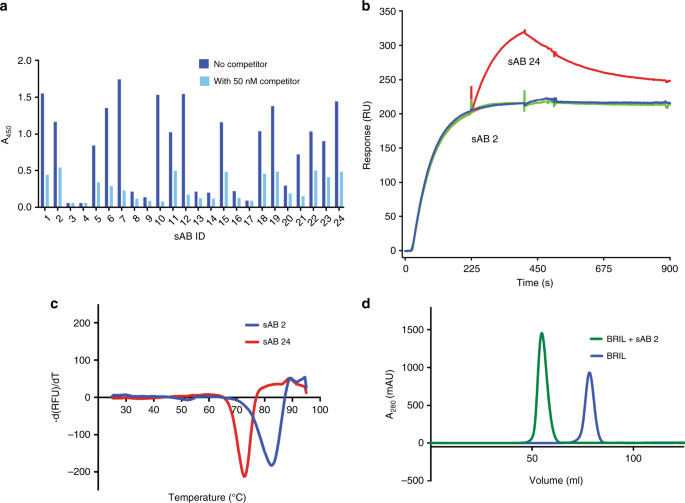 Synthetic antibodies against BRIL as universal fiducial marks for  single−particle cryoEM structure determination of membrane proteins |  Nature Communications