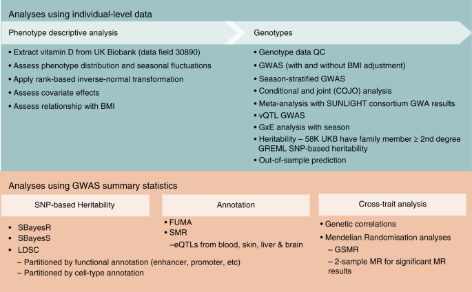 Body Mass Index Advantages and Disadvantages