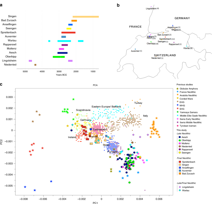 Ancient Genomes Reveal Social And Genetic Structure Of Late Neolithic Switzerland Nature Communications