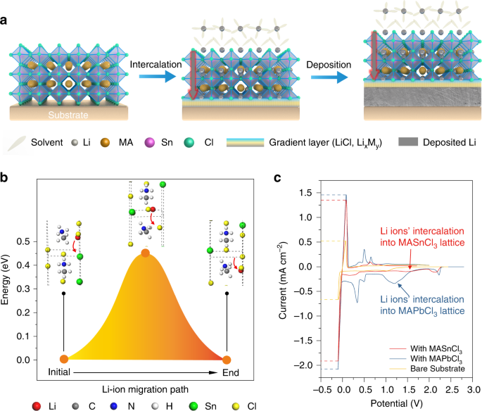 Metal chloride perovskite thin film based interfacial layer for shielding  lithium metal from liquid electrolyte | Nature Communications