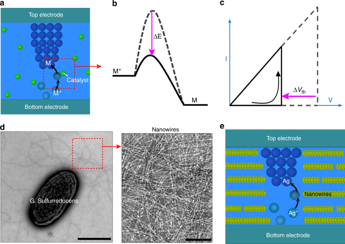 Bioinspired Bio Voltage Memristors Nature Communications