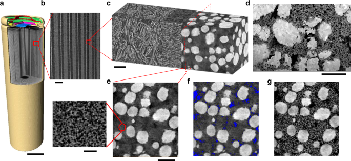 3D microstructure design of lithium-ion battery electrodes assisted by  X-ray nano-computed tomography and modelling | Nature Communications
