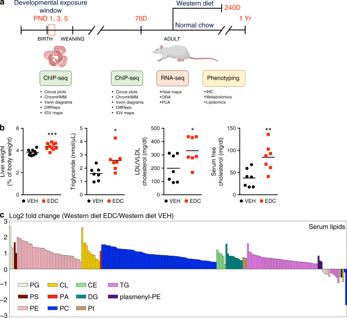 Politik bryst arsenal Epigenome environment interactions accelerate epigenomic aging and unlock  metabolically restricted epigenetic reprogramming in adulthood | Nature  Communications