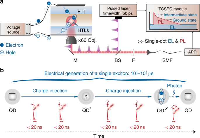 Deciphering exciton-generation processes in quantum-dot electroluminescence  | Nature Communications