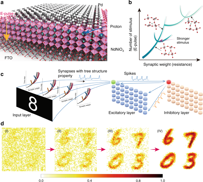 Perovskite Neural Trees Nature Communications