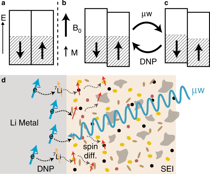 Selective Nmr Observation Of The Sei Metal Interface By Dynamic Nuclear Polarisation From Lithium Metal Nature Communications
