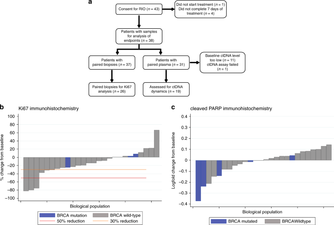 Homologous Recombination Dna Repair Deficiency And Parp Inhibition Activity In Primary Triple Negative Breast Cancer Nature Communications