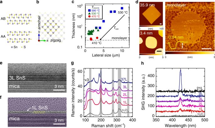 Purely In Plane Ferroelectricity In Monolayer Sns At Room Temperature Nature Communications