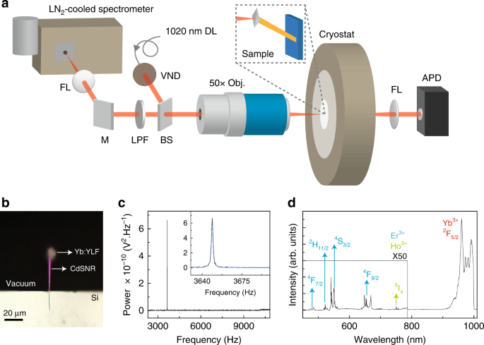 Solid-state laser refrigeration of a composite semiconductor Yb:YLiF4  optomechanical resonator | Nature Communications