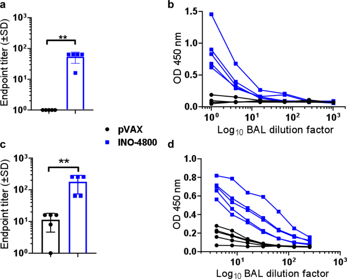 Safety and immunogenicity of INO-4800 DNA vaccine against SARS-CoV