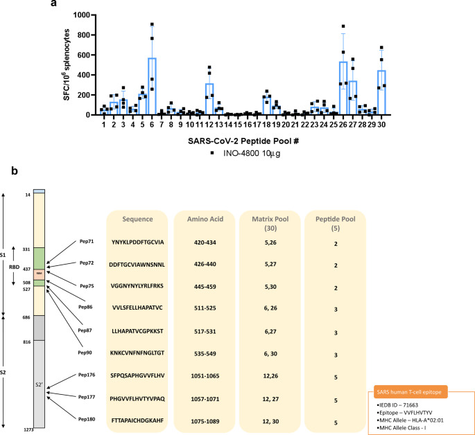 Safety and immunogenicity of INO-4800 DNA vaccine against SARS-CoV