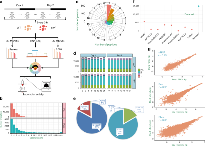 Integrated omics in drosophila uncover a circadian kinome