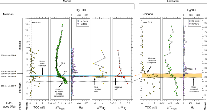 Permo–triassic boundary carbon and mercury cycling linked to terrestrial ecosystem collapse
