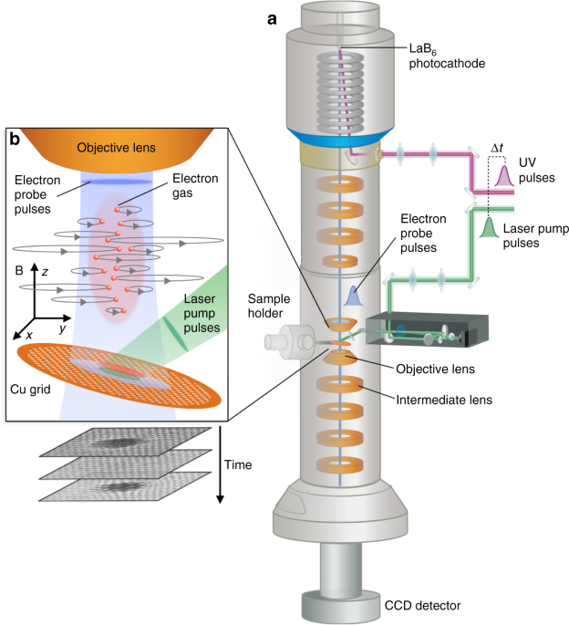 Transient Lensing From A Photoemitted Electron Gas Imaged Ultrafast Electron Microscopy Nature Munications