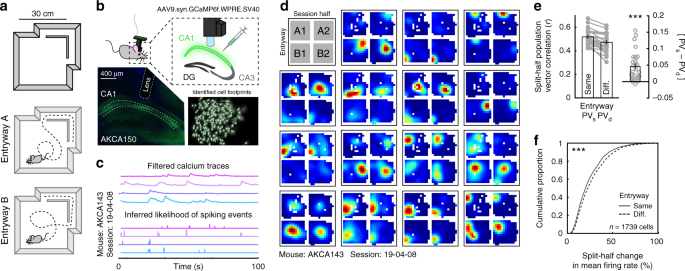 Dg–ca3 circuitry mediates hippocampal representations of latent information