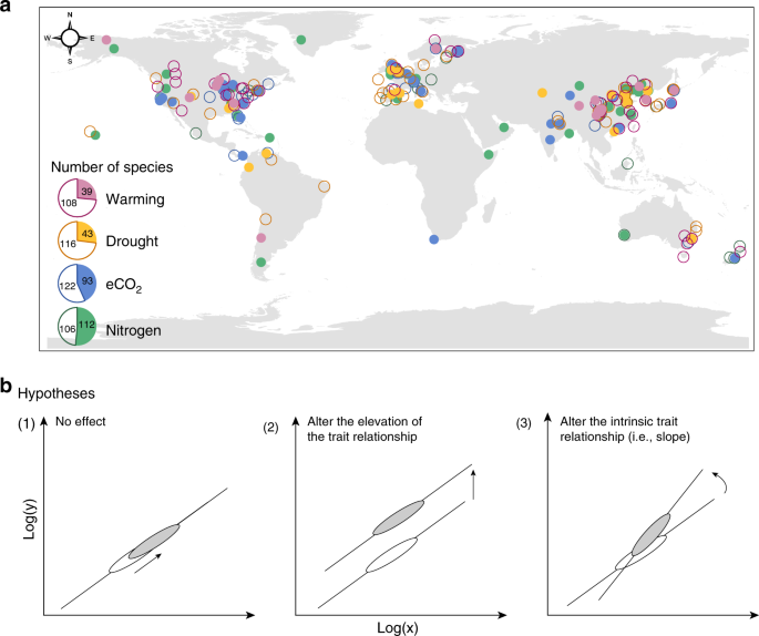 Robust leaf trait relationships across species under global environmental changes