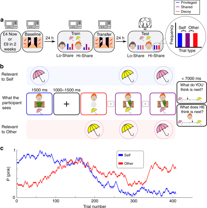 Social training reconfigures prediction errors to shape self-other boundaries
