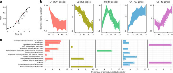 Diauxie and co-utilization of carbon sources can coexist during bacterial growth in nutritionally complex environments