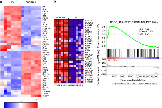 Synergism between il7r and cxcr4 drives bcr-abl induced transformation in philadelphia chromosome-positive acute lymphoblastic leukemia