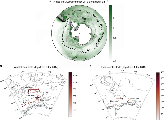 Remote assessment of the fate of phytoplankton in the southern ocean sea-ice zone
