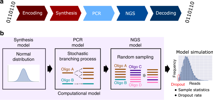Quantifying molecular bias in DNA data storage | Nature Communications