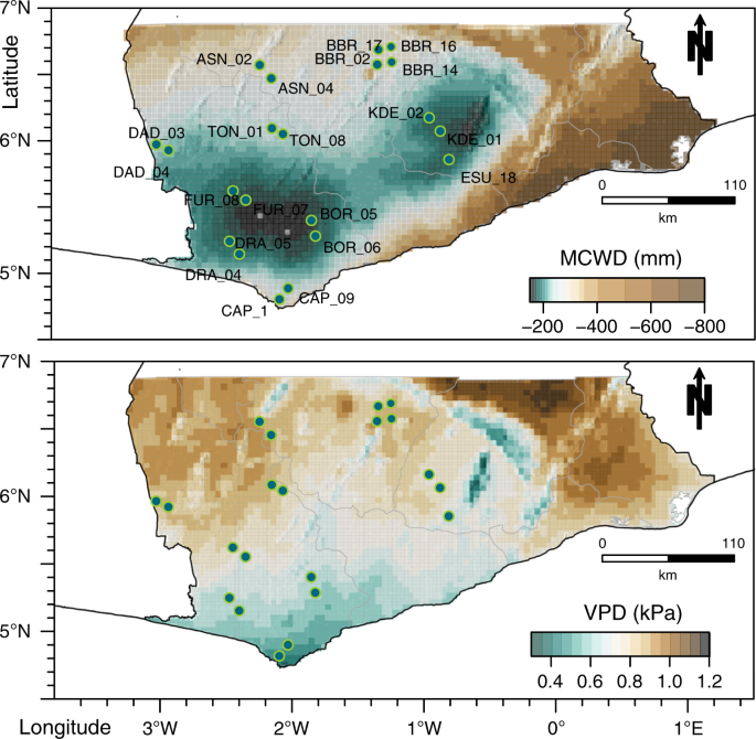 Double stress of waterlogging and drought drives forest–savanna