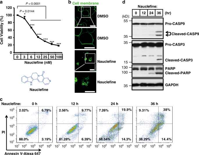 An Alkaloid Initiates Phosphodiesterase 3a Schlafen 12 Dependent Apoptosis Without Affecting The Phosphodiesterase Activity Nature Communications An Alkaloid Initiates Phosphodiesterase 3a Schlafen 12 Dependent Apoptosis Without Affecting The Phosphodiesterase Activity Nature Communications