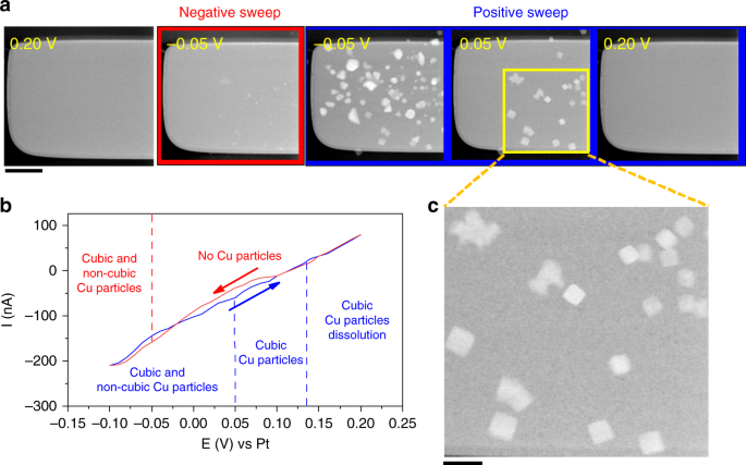 Imaging Electrochemically Synthesized Cu 2 O Cubes And Their Morphological Evolution Under Conditions Relevant To Co 2 Electroreduction Nature Communications