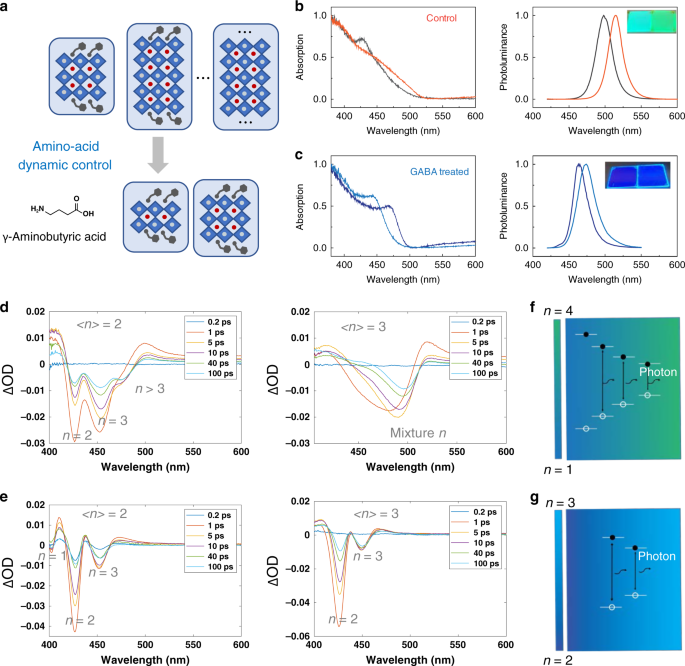 Chelating Agent Assisted Control Of Cspbbr 3 Quantum Well Growth Enables Stable Blue Perovskite Emitters Nature Communications