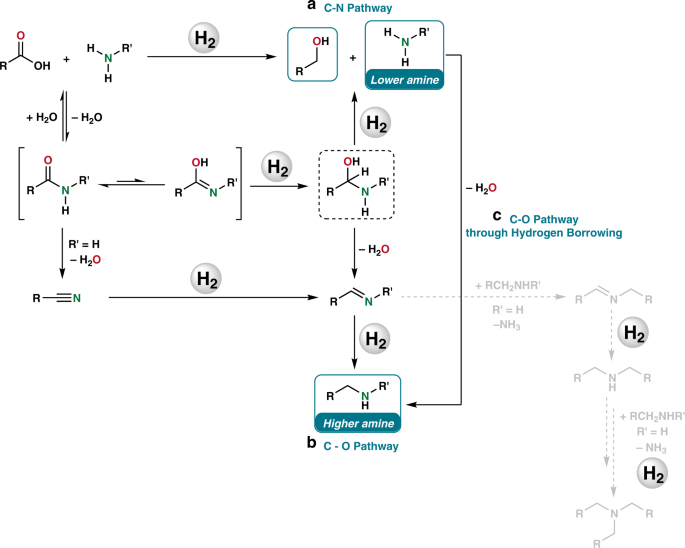 Homogeneous and heterogeneous catalytic reduction of amides and related  compounds using molecular hydrogen | Nature Communications