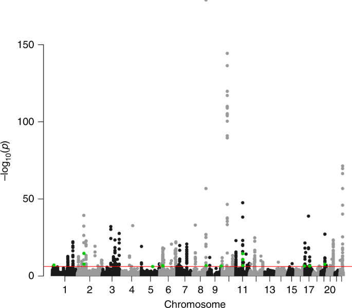 An integrative multi-omics analysis to identify candidate DNA 